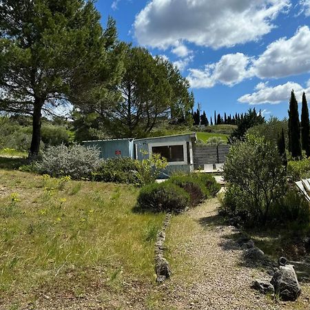 Chambre Tropicale Au Domaine De L'Aven Villeneuve-Minervois Bagian luar foto